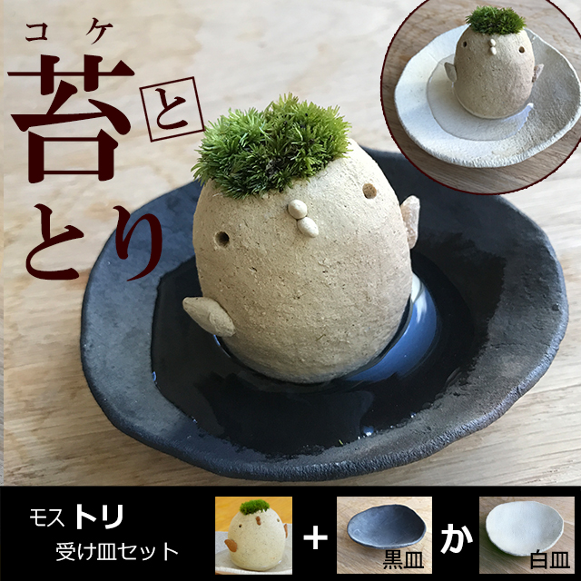モスモスシリーズ 作家 真山茜 モスドリ ( 白 ベージュ系 ) 受け皿セット モスモス 苔 鳥 トリ