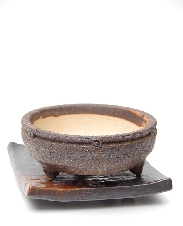 信楽焼鉢茶下皿小2013m