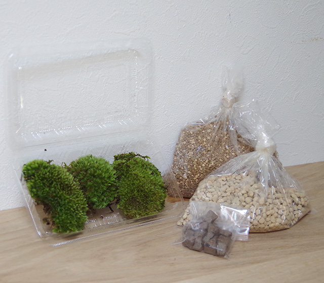 植え込みセット肥料付2016m