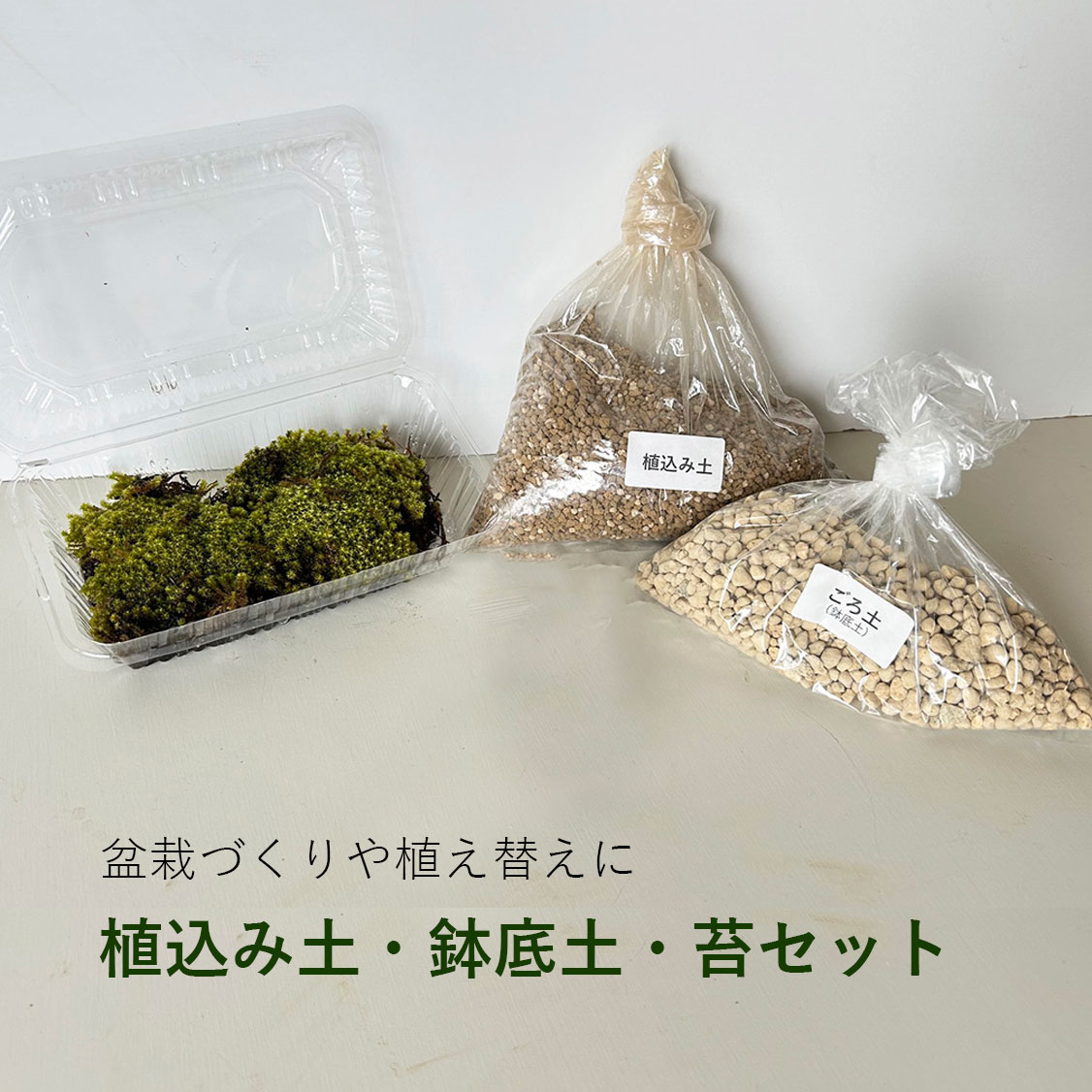 植込み土底土スナゴケセット