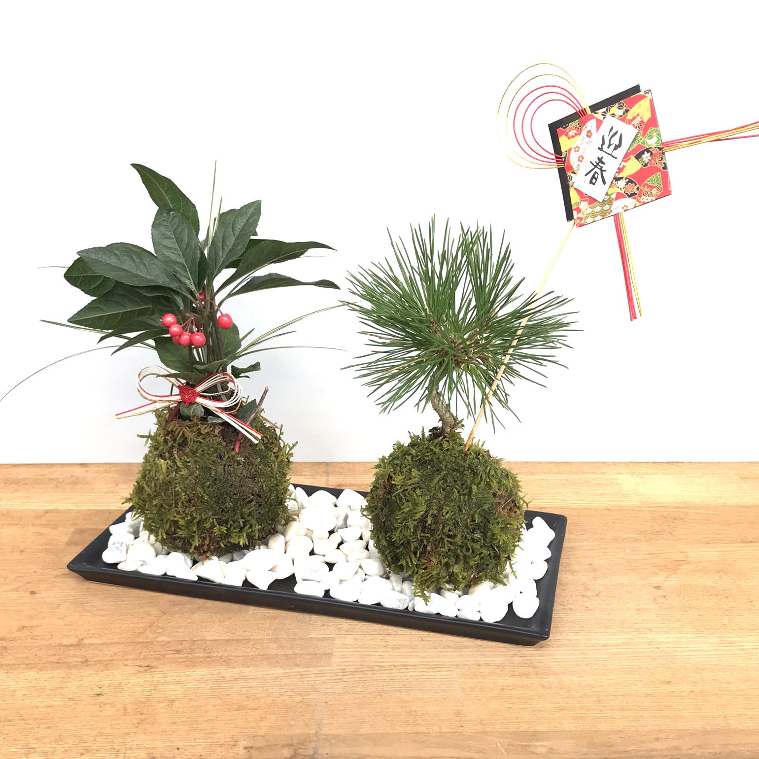 正月苔玉