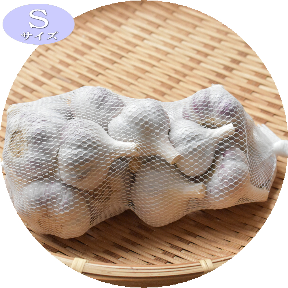 にんにく５００ｇ赤玉S