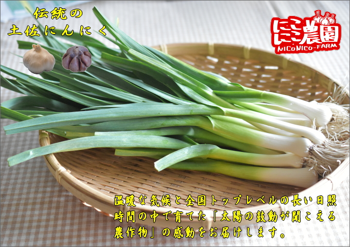 伝統のにんにくとこじゃんと旨い土佐の食材の通販ショップ にこにこ農園