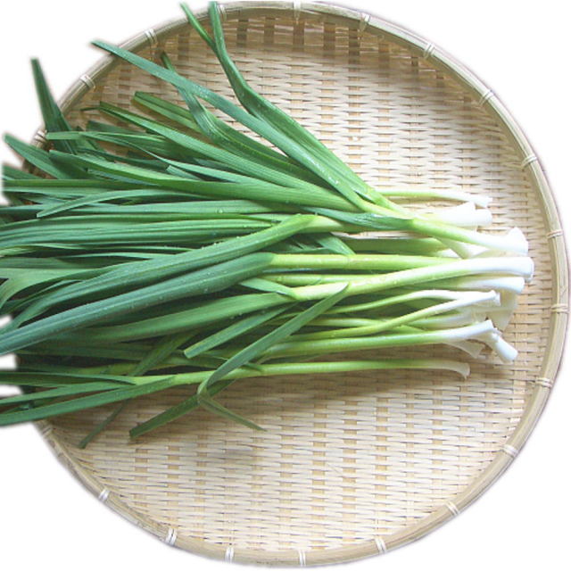 葉ニンニク