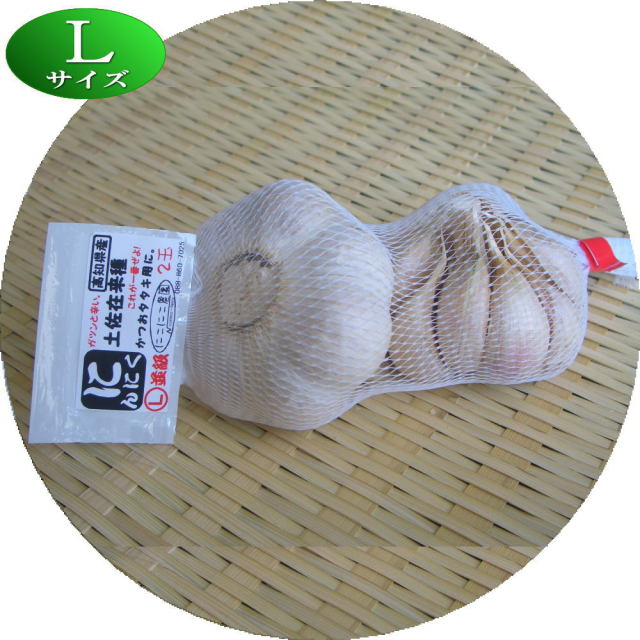 くにちゃん専用！兵庫県、大分県2枚 おもちゃ＆ホビー買取専門店の“トイズキング兵庫店”が6/26（日