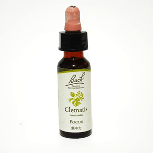 バッチフラワーレメディ(クレマチス)