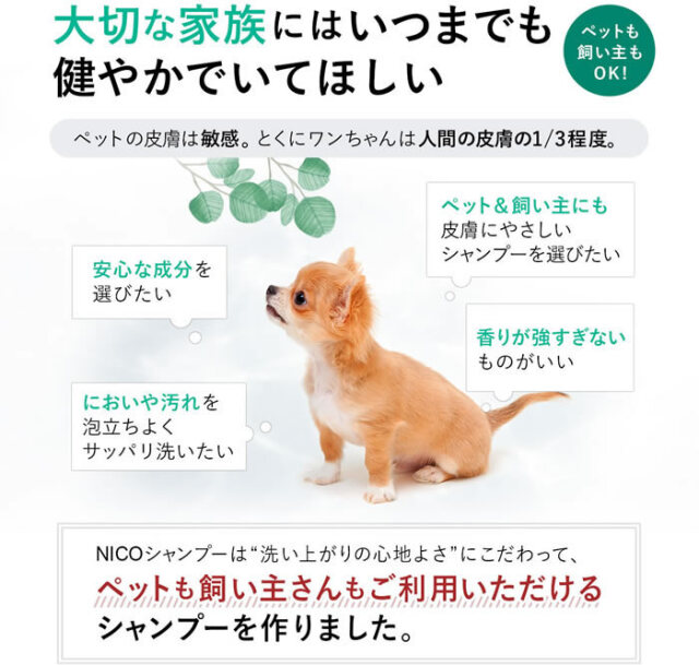 シャンプー nikomasaru ZERO＋ シューズシャンプーキット（無香料）|P1GZ020500