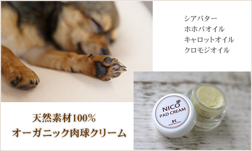 肉球クリーム