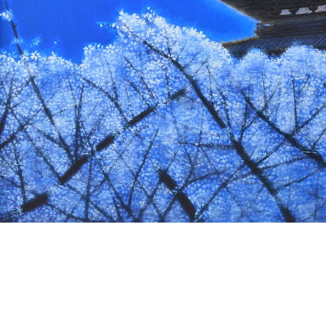 平山郁夫　仁和寺月華　複製画　彩美版　シルクスクリーン　部分拡大　左下