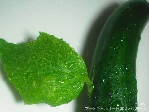 天使のきゅうり　羽が生えたキュウリ