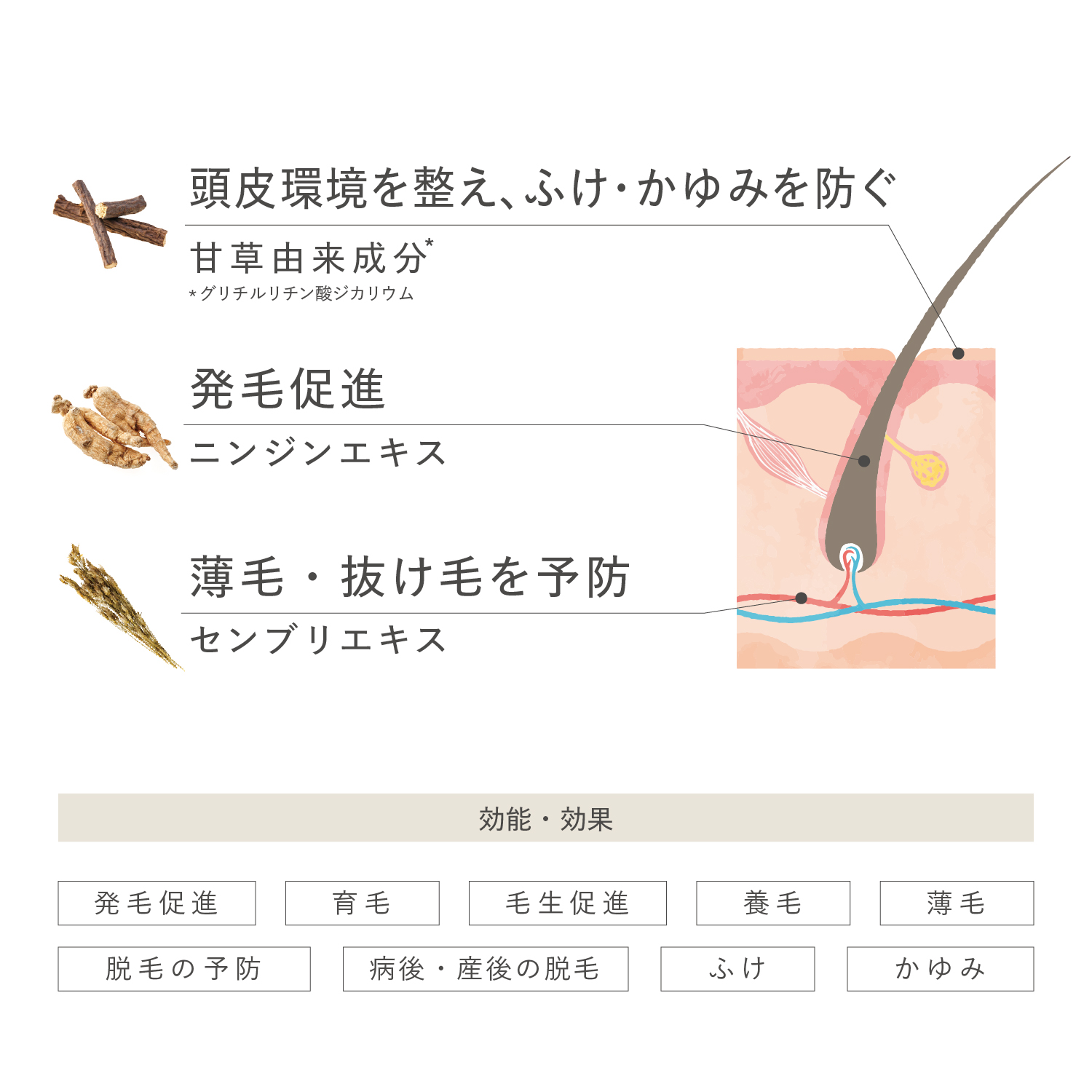 カガエ 薬用スカルプエッセンス〈医薬部外品〉 100mL×３本セット