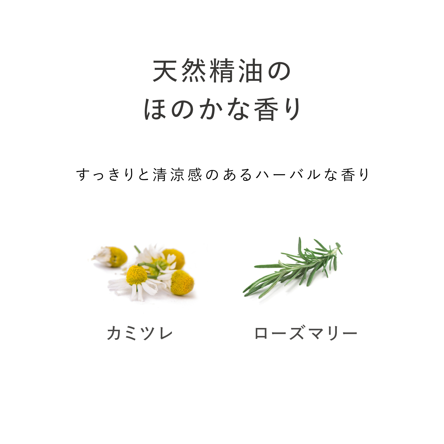 カガエ 薬用スカルプエッセンス〈医薬部外品〉 100mL×３本セット