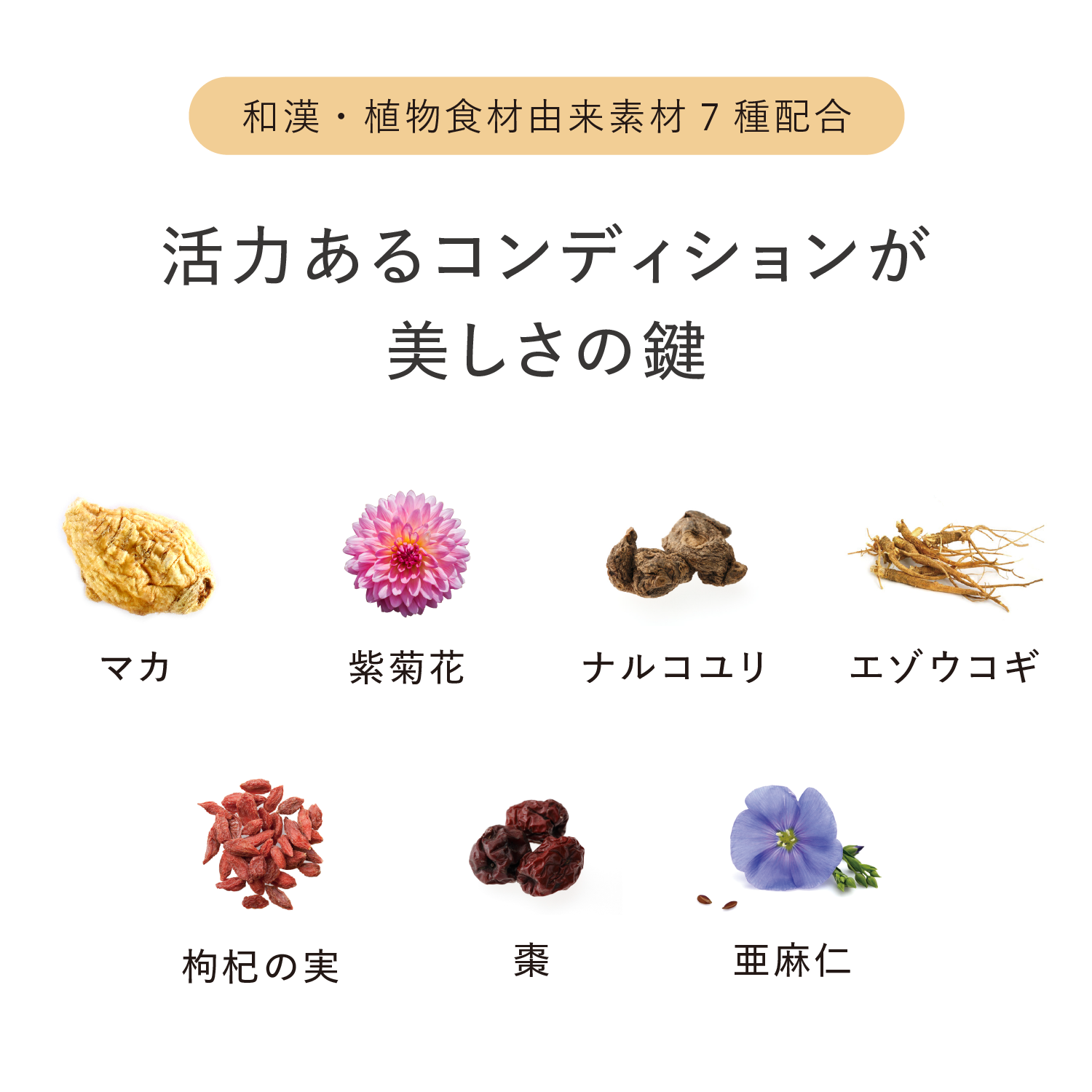 カガエ ラディアンス<アクティブ> 60粒 ６０粒