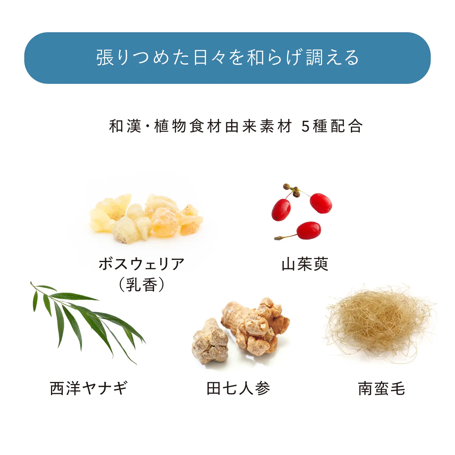 【新発売】N-アセチルグルコサミン50000&MSM 600粒 3個セット