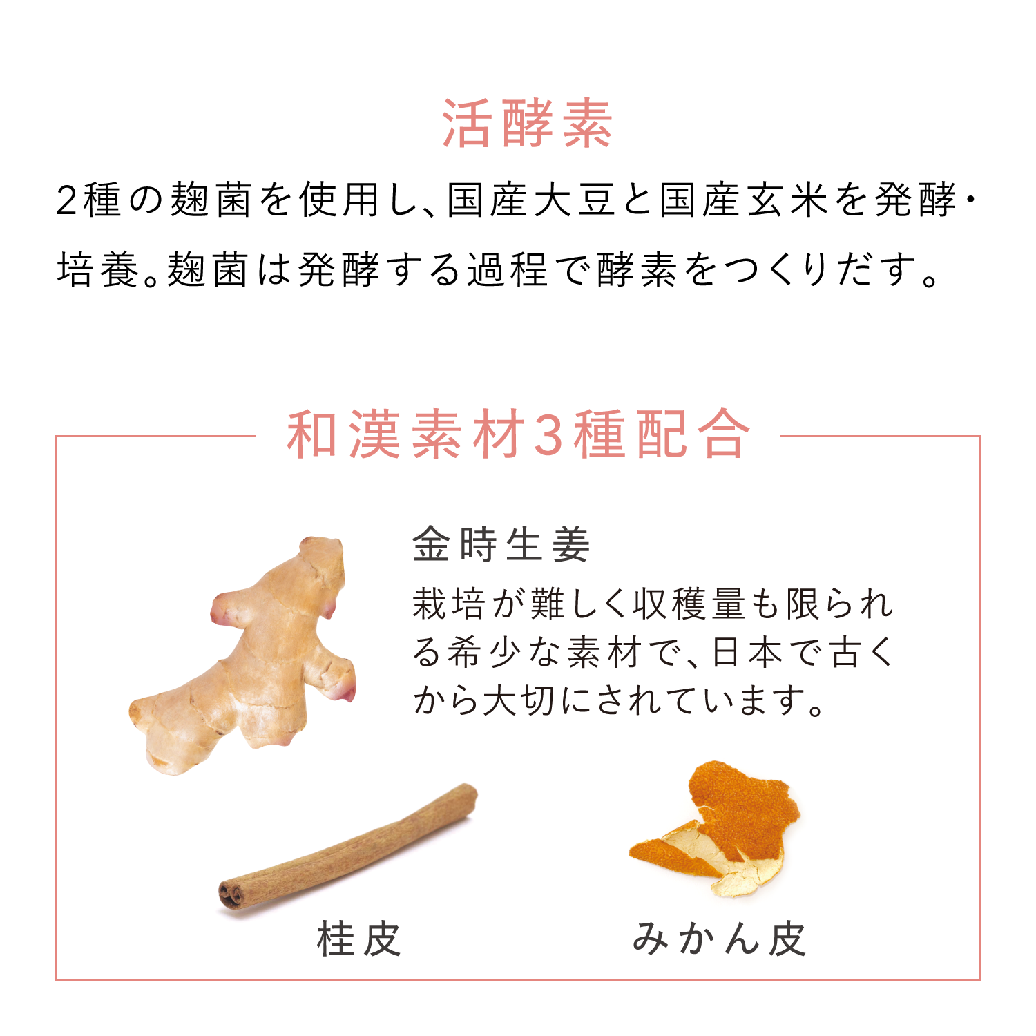 【新発売】活酵素＆金時生姜 60カプセル