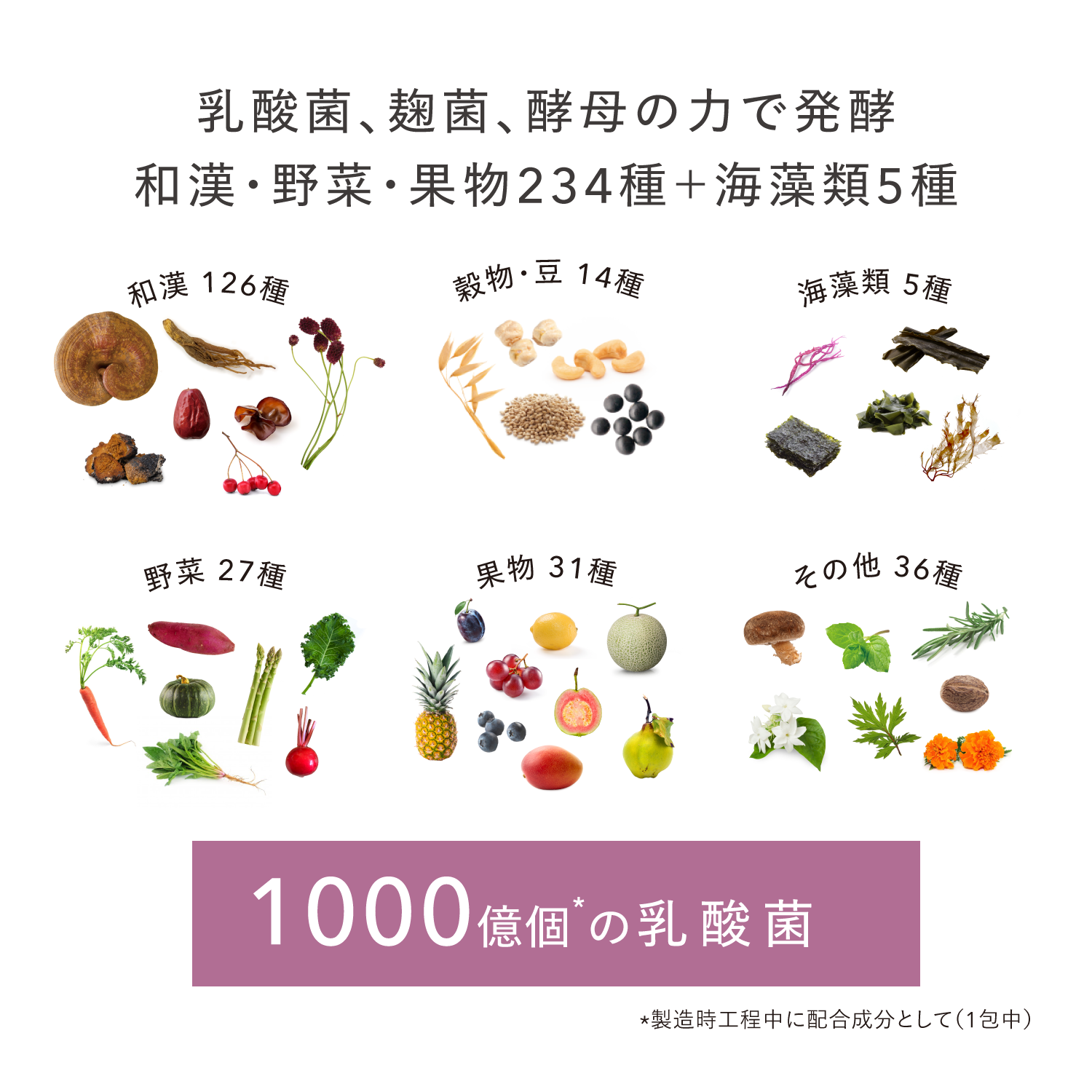 【新発売】和漢植物酵素234＆乳酸菌〈30日分〉 30包