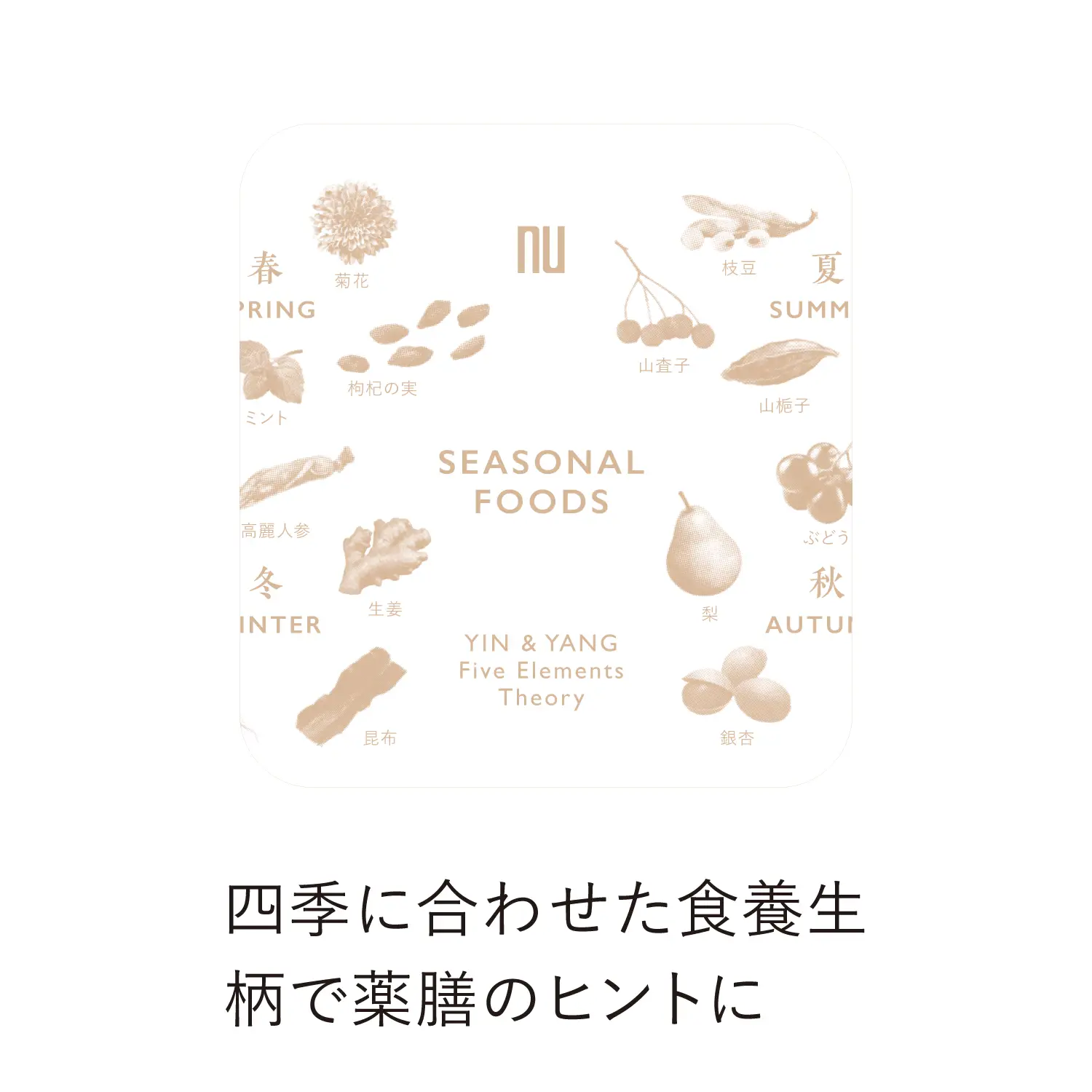 【新発売】クリアボトル 四季と和漢 350ml 350ml