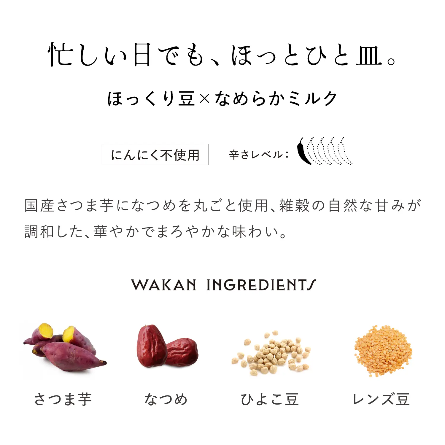 【新発売】国産さつま芋となつめの豆カレー 活充 180g