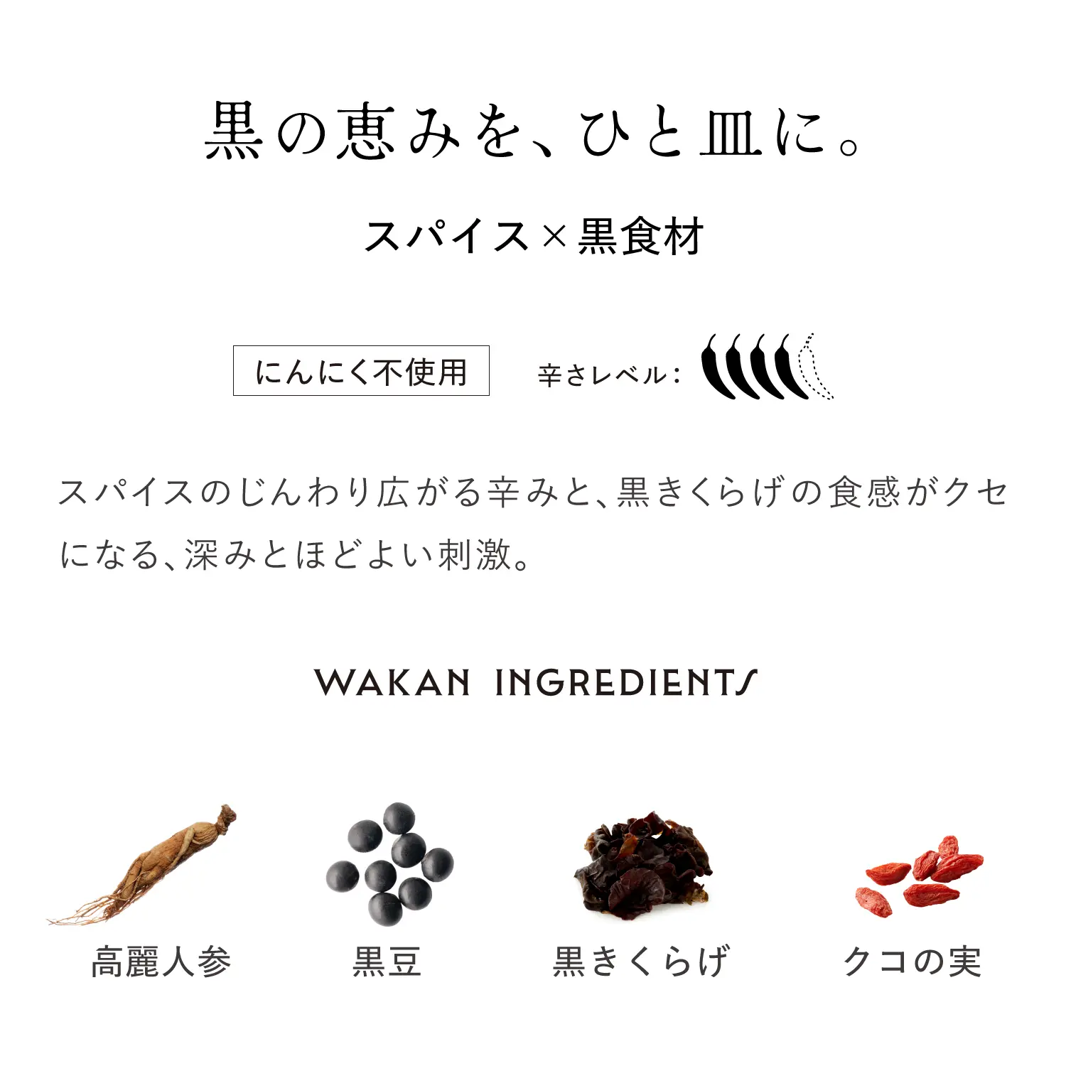 【新発売】国産鶏と高麗人参の黒カレー 養流 180g