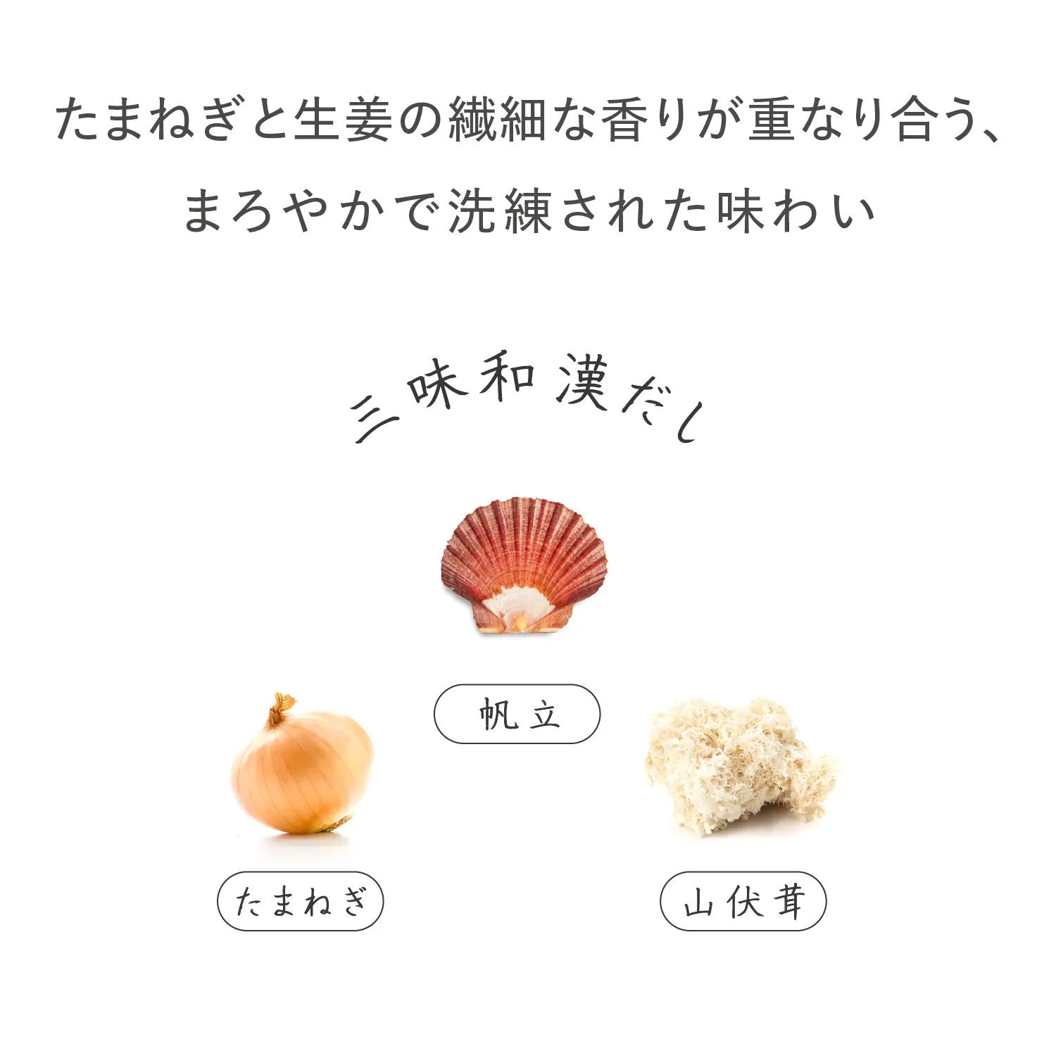 【新発売】バランスフード 滋養スープ 32g×10包【数量限定】 32g×10包