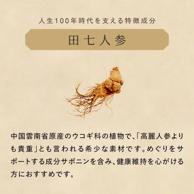 国産赤霊芝ドリンク 30包｜田七人参・タモギ茸配合の和漢パウチ【Red