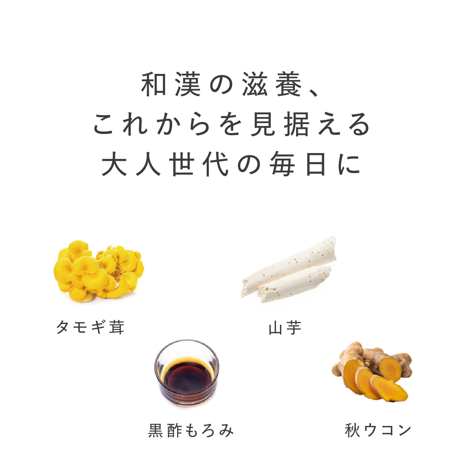 タモギ茸＆DHA　120カプセル 120カプセル