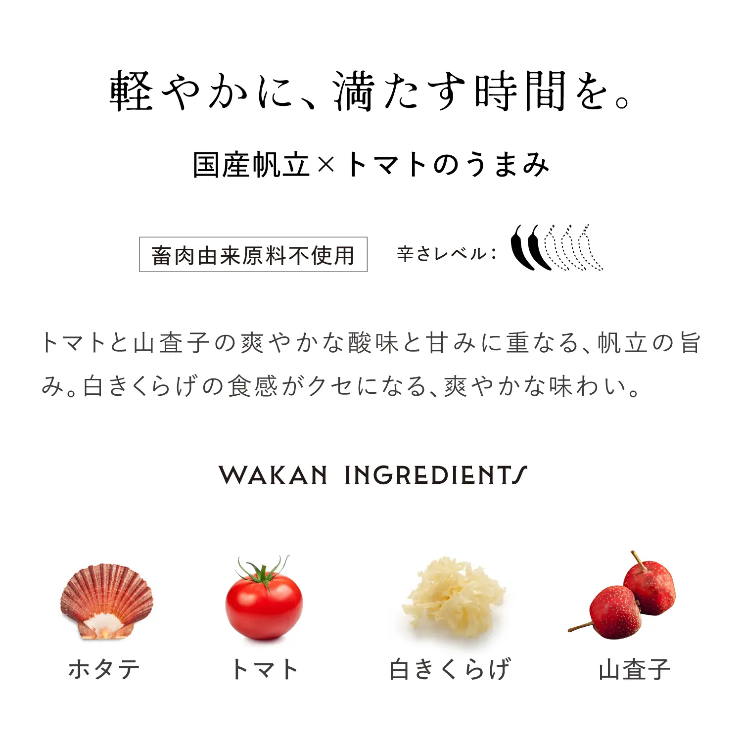 【新発売】国産帆立と山査子のトマトカレー 潤溢 180g
