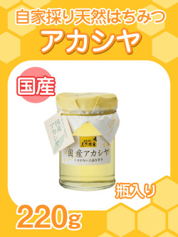 ★単品★『自家採り国産天然はちみつ/国産アカシヤ220g入り瓶』