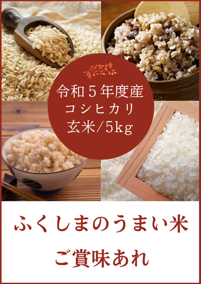 ☆単品☆令和5年度産 里山のうまいコシヒカリ5kg/玄米【二本松