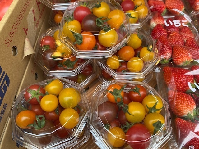 単品 超オススメ とっても甘い 虹トマト カラフルなミニトマトたちのセットです お弁当や食卓が彩り鮮やかに