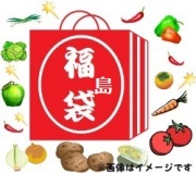 【福島袋3000円】中味は？？（税・送料込（東日本））