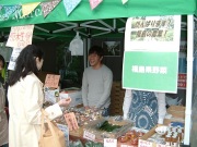 「売って応援しよう！」イベント販売用福島県野菜・果物セット【7万円コース】