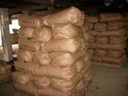 【定期購入】＜毎月1日をお選びください＞コシヒカリ精米2０kg