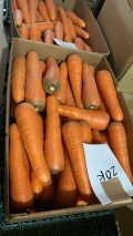 ★単品★人参なんと1kgで200円！　大きくておいしいので　業務用にもどうぞ
