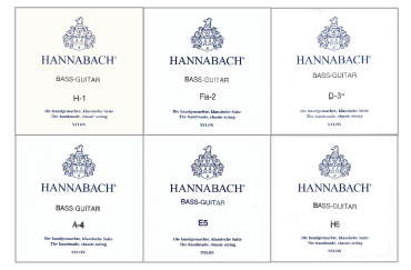 ハナバッハ・バスギター セット