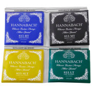 ハナバッハSS