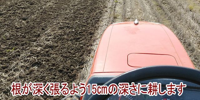 田打ち