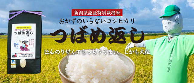 つばめ返し