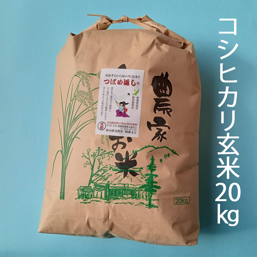 コシヒカリ玄米20㎏