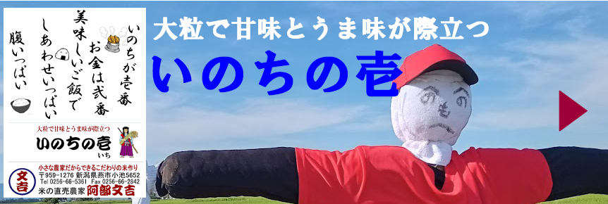 いのちが壱番お金は弐番