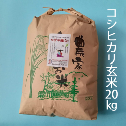 コシヒカリ玄米20㎏