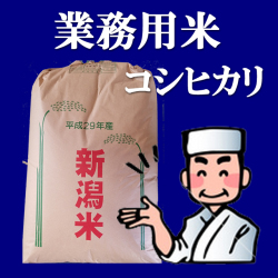 業務用コシヒカリ