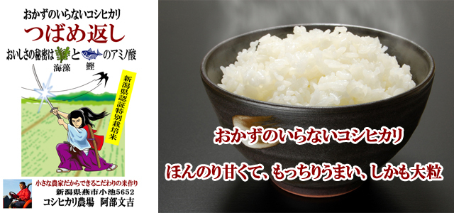 ほんのり甘くてもっちりうまい　おかずのいらないコシヒカリ
