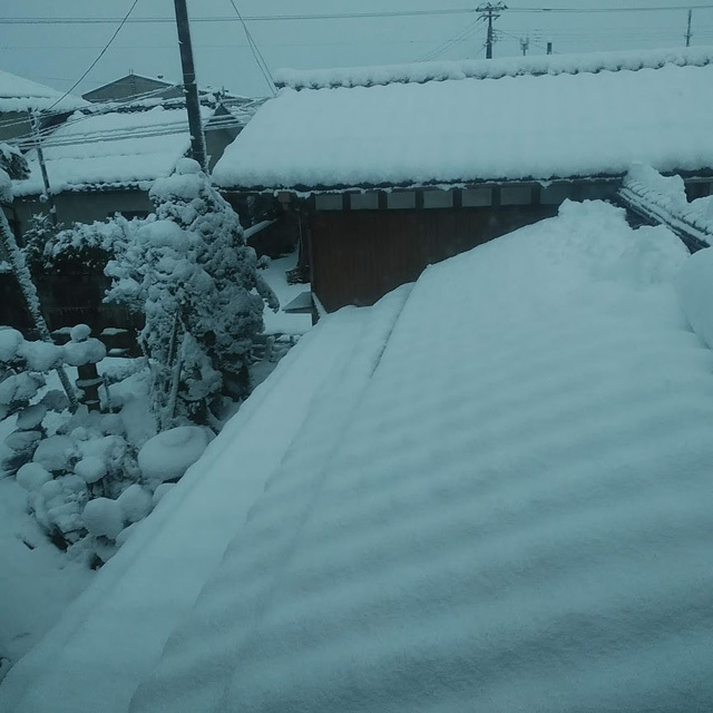 おかずのいらないコシヒカリ 「つばめ返し」阿部文吉の店長日記