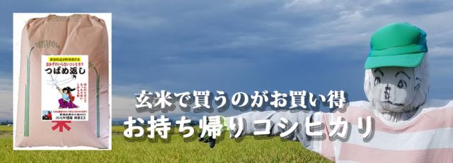 お持ち帰りコシヒカリ