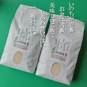いのちの壱10kg