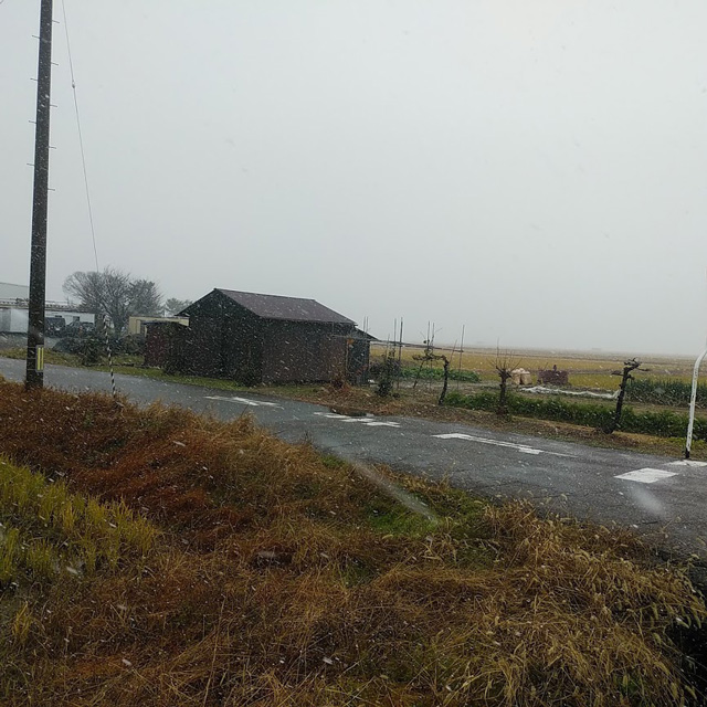 おかずのいらないコシヒカリ 「つばめ返し」阿部文吉の店長日記