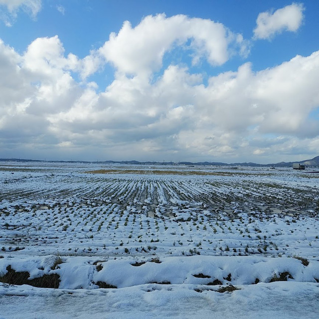 高速道路上で1000台が立ち往生
