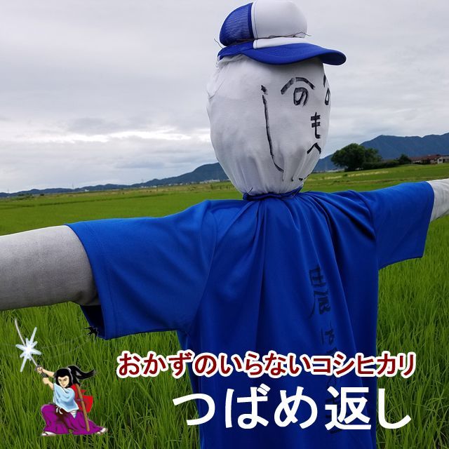 おかずのいらないコシヒカリ つばめ返し