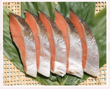 とき鮭　定置網